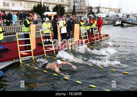 Gdynia, Polonia 5th, dic. 2015 3rd International Inverno Nuoto Campionati Gdynia 2015. Vicino a 100 extreme nuotatori provenienti da tutto il mondo di competere su distanze di 25 e 50 metri nel Baltico fredde acque del mare a Gdynia Marina Credito: Michal Fludra/Alamy Live News Foto Stock