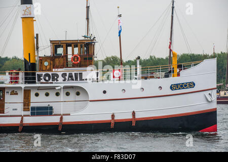 Sail Amsterdam 2015 con belle tall ships accompagnato olandese da piccole e antiche imbarcazioni Foto Stock