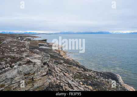 L'Isola di Svalbard vicino a l'Artico è uno dei luoghi più freddi sulla terra tuttavia il riscaldamento globale ha un impatto Foto Stock