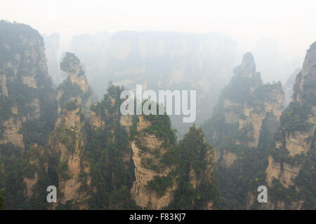 Zhangjiajie parco nazionale ( Tian zhi shan ) ( Tianzi natura della montagna riserva ) e la nebbia Foto Stock