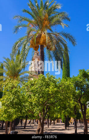 Pareti e giardini dell'Alcazar de Cordoba, Spagna Foto Stock