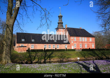 Fioritura di crocus prato a Husum Castello, Frisia settentrionale, Schleswig-Holstein, Germania, Europa Foto Stock