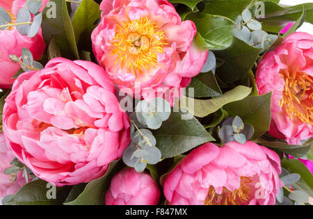 Sorprendente bouquet di rose peonia closeup Foto Stock