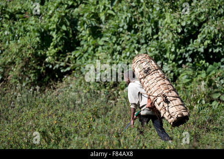 Un uomo con un portatile, intessute bee hive sul suo retro, il tradizionale stile utilizzato nella foresta di Harenna in Etiopia Foto Stock