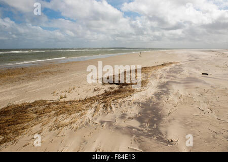 Spiaggia orientale di Terschelling con vista sul faro dell'isola Ameland Foto Stock