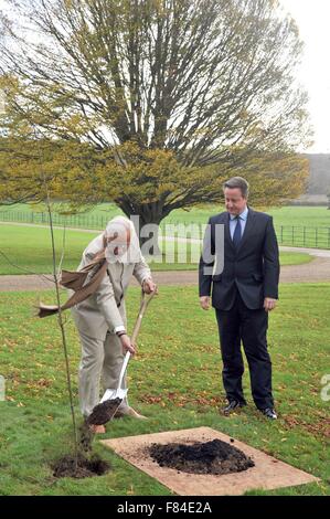 Primo Ministro indiano Narendra Modi Pianta un albero come Primo Ministro britannico David Cameron si affaccia su durante una visita a Chequers Novembre 13, 2015 in Aldershot, Regno Unito. Foto Stock