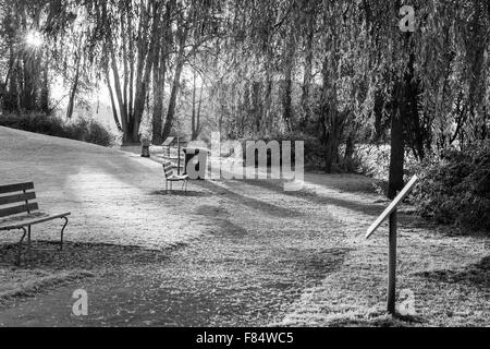 Immagine in bianco e nero di un Riverside park in un freddo gelido mattina in Vancouver Foto Stock