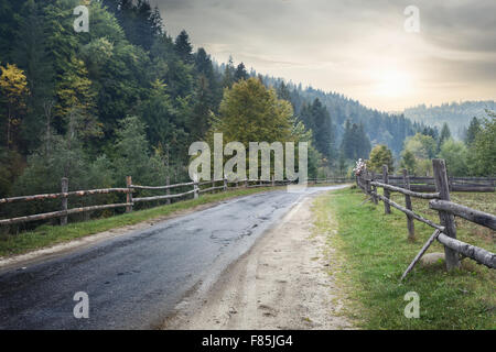Strada asfaltata nel bosco sotto il sole Foto Stock