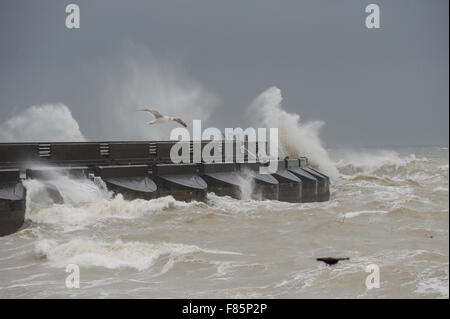 Durante la tempesta Desmond, gabbiani battaglia contro i venti alti come grandi onde infrangersi contro la parete del mare a Brighton Marina in Brighton, East Sussex, Inghilterra. Foto Stock