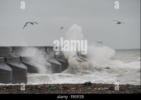 Durante la tempesta Desmond, gabbiani battaglia contro i venti alti come grandi onde infrangersi contro la parete del mare a Brighton Marina in Brighton, East Sussex, Inghilterra. Foto Stock