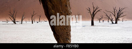 Dead Vlei in Sossusvlei National Park - Namib-Naukluft National Park, Namibia, Africa Foto Stock