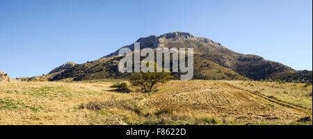 Vista panoramica della Sierra de la Cabrilla en Parco Naturale della Sierra de las Nieves, Andalusia, Spagna. Foto Stock