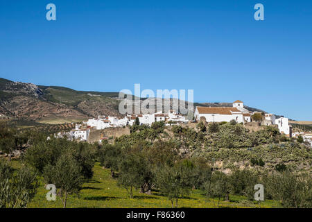 Bianco villaggio andaluso di El Burgo in Sierra de las Nieves, oliveti, città spagnola. Andalusia. Spagna. Foto Stock