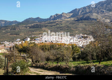 Bianco villaggio andaluso di El Burgo in Sierra de las Nieves, oliveti, città spagnola. Andalusia. Spagna. Foto Stock