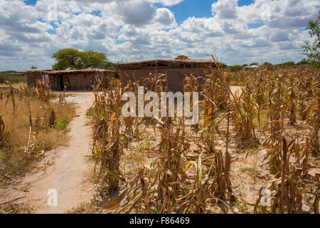 Campi di colture a secco in Tanzania Foto Stock