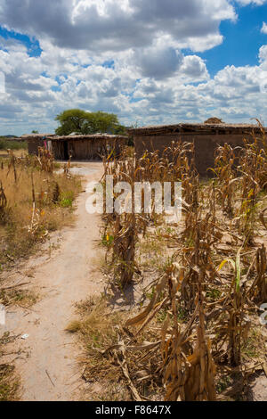 Campi di colture a secco in Tanzania Foto Stock