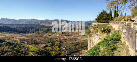 Affacciato sulla valle presso la scogliera, Alameda del Tajo Parco di Ronda, Andalusia, Spagna Foto Stock