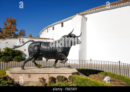 Statua di bronzo fighting Bull, Toro, di fronte a Plaza de Toros de Ronda, Bullring, Andalusia, Spagna Foto Stock