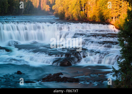 Cascata, Dawson falls, Grey Parco Provinciale, British Columbia, Canada Foto Stock