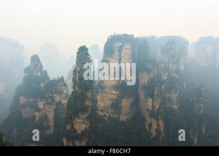 Zhangjiajie parco nazionale ( Tian zhi shan ) ( Tianzi natura della montagna riserva ) e la nebbia , Cina Foto Stock