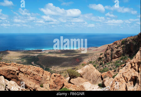 Isola di Socotra, panoramica dall altopiano Homhil: Dragon alberi di sangue e il Mare Arabico Foto Stock