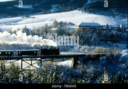 Europa, Deutschland, Sachsen, Monti Metalliferi, Fichtelberg Bahn erreicht Oberwiesenthal | Europa, Germania, Sassonia, Monti Metalliferi Foto Stock