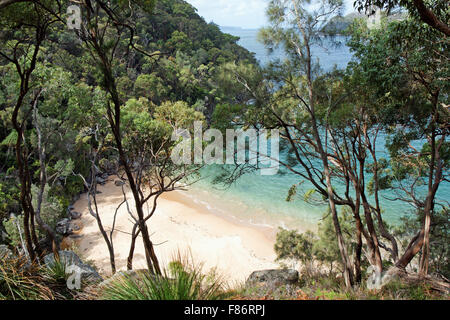La risoluta spiaggia ho io Sydney Australia Foto Stock