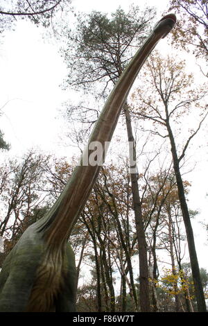 Modello di un gigante torreggianti Brachiosaurus, full-size & dino realistica statua a Dinopark Zoo di Amersfoort, Paesi Bassi, era giurassica Foto Stock