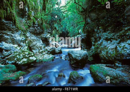 Fiume Bussento, oasi wwf Grotte del Bussento, Morigerati Cilento - Vallo di Diano e Alburni Parco Nazionale, Salerno, Campania, Italia Foto Stock