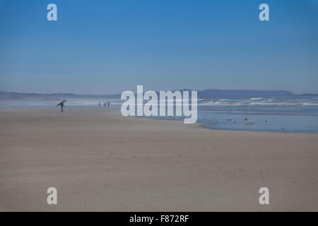 Long Beach, Pacific Rim National Park, l'isola di Vancouver, British Columbia Foto Stock