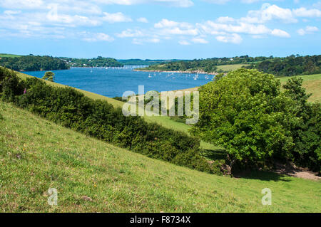 Una vista della campagna intorno al fiume helford in Cornovaglia, England, Regno Unito Foto Stock