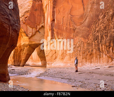 l'escursionista (autoritratto) sotto la roccia di scorrimento nel fiume paria si restringe vicino a kanab, utah Foto Stock