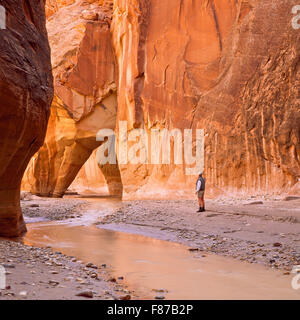 l'escursionista (autoritratto) sotto la roccia di scorrimento nel fiume paria si restringe vicino a kanab, utah Foto Stock