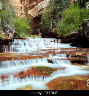 Arcangelo cascades sulla forcella sinistra north creek lungo il percorso verso la metropolitana in parco nazionale Zion, Utah Foto Stock