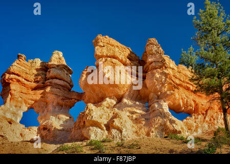 Archi lungo Mossy Creek Trail. Il Parco Nazionale di Bryce, Utah Foto Stock