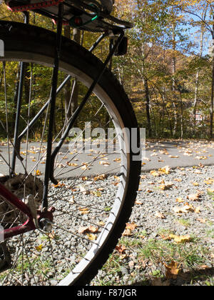 Un punto di appoggio lungo la Ashuwillticook Rail Trail in Adams, Massachusetts, durante la caduta delle foglie stagione. Foto Stock