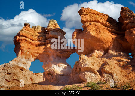 Archi lungo Mossy Creek Trail. Il Parco Nazionale di Bryce, Utah Foto Stock