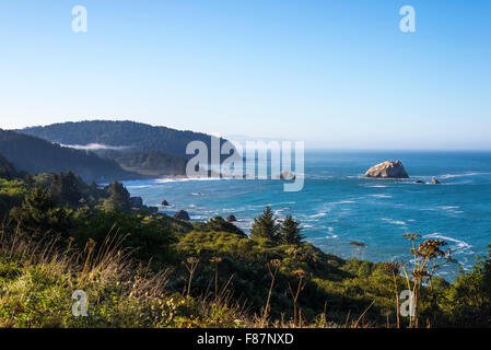 Scena costiere. Del Norte Coast Redwoods State Park, Nord della California, Stati Uniti d'America. Foto Stock