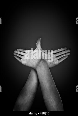 CG mani formando colomba / 3D Rendering delle mani formando colomba della pace Foto Stock