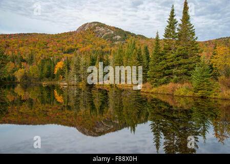 Medio Sugarloaf mountain riflessa nella fauna selvatica stagno, White Mountain National Forest, New Hampshire, Ottobre Foto Stock