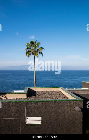 Guardando il mare da El Varadero, Puerto Santiago, sopra il tetto piano di un condominio e un albero di palma, Tenerife, Canarie Foto Stock