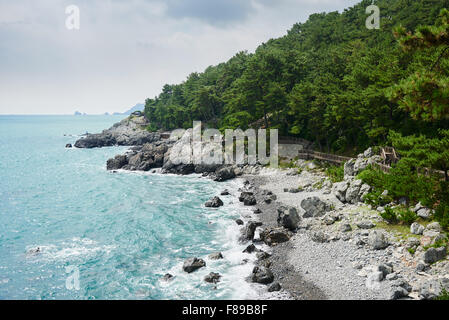 Trekking lungo la costa di Isola Dongbaek in Busan. Si trova vicino alla Spiaggia di Haeundae e nel sentiero, è possibile vedere un beutif Foto Stock