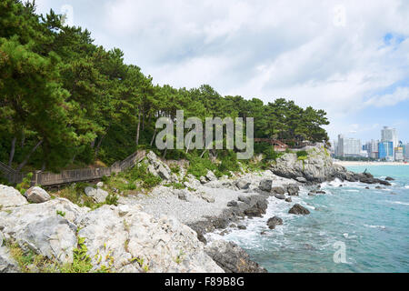 Trekking lungo la costa di Isola Dongbaek in Busan. Si trova vicino alla Spiaggia di Haeundae. Foto Stock