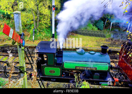 Sir Cecil Cochrane motore a vapore Tanfield railway Tyne and Wear Robert Stephenson Biancospino opere di Newcastle Foto Stock