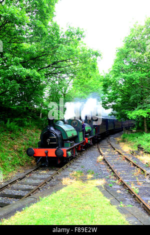 Sir Cecil Cochrane motore a vapore Tanfield railway Tyne and Wear Foto Stock