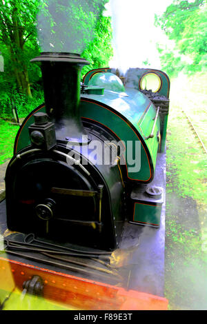 Sir Cecil Cochrane motore a vapore Tanfield railway Tyne and Wear Foto Stock