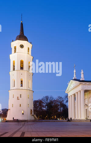 Cattedrale di Vilnius e Torre Campanaria illuminata di notte. Piazza della cattedrale di Vilnius, Lituania, l'Europa. Foto Stock