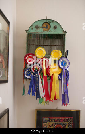 Una birdcage con rosette di cavallo REGNO UNITO Foto Stock