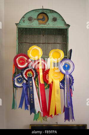 Una birdcage con rosette di cavallo REGNO UNITO Foto Stock