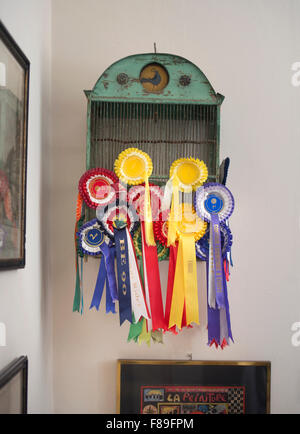 Una birdcage con rosette di cavallo REGNO UNITO Foto Stock